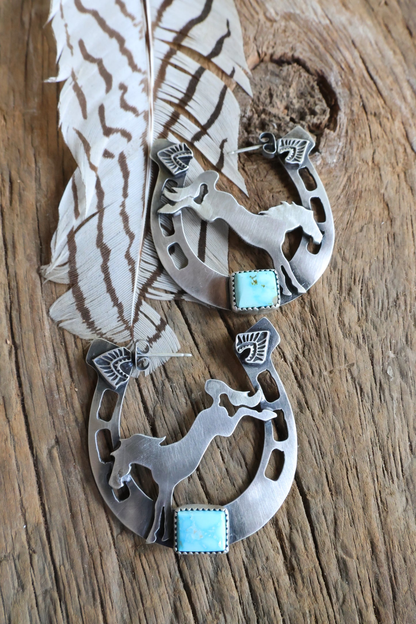 Horse shoe bucking bronco hoops