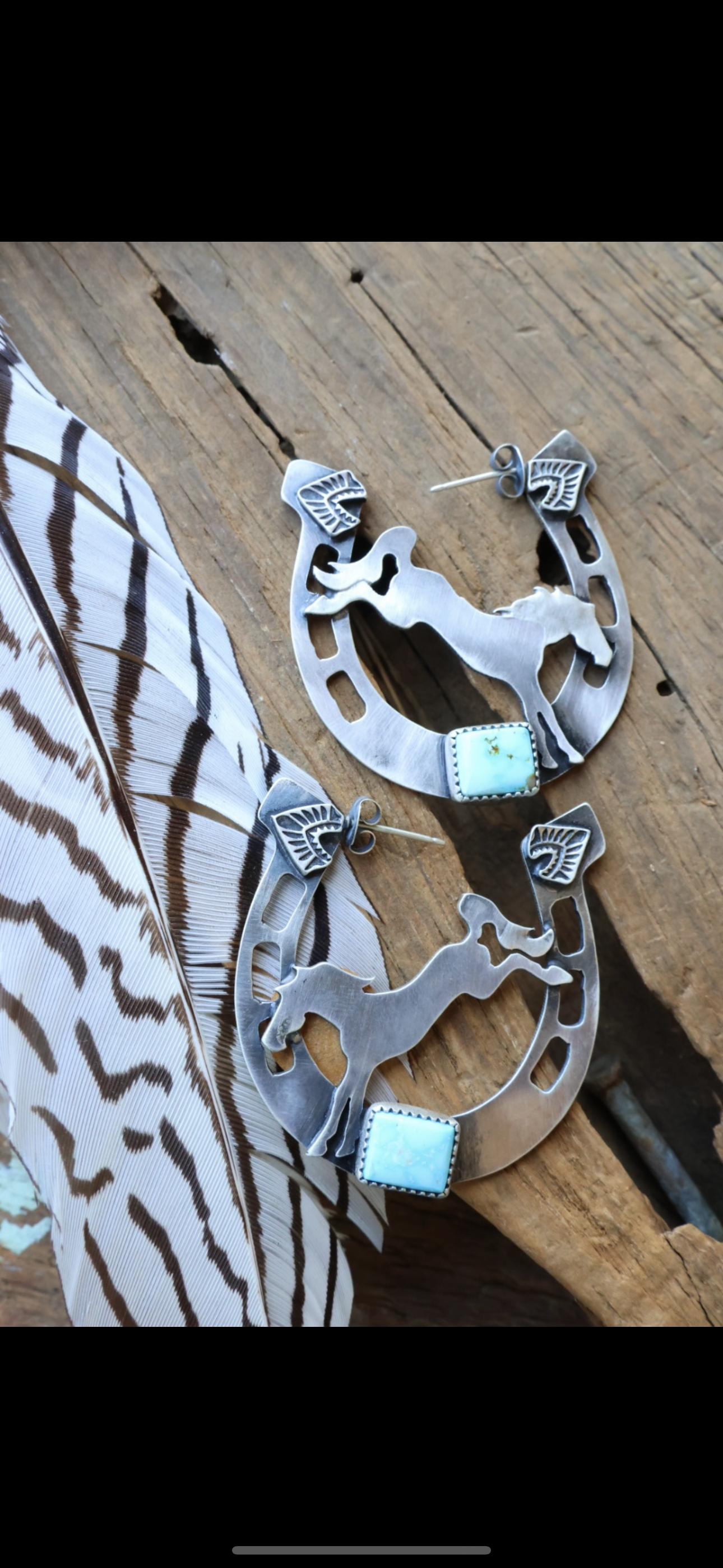 Horse shoe bucking bronco hoops