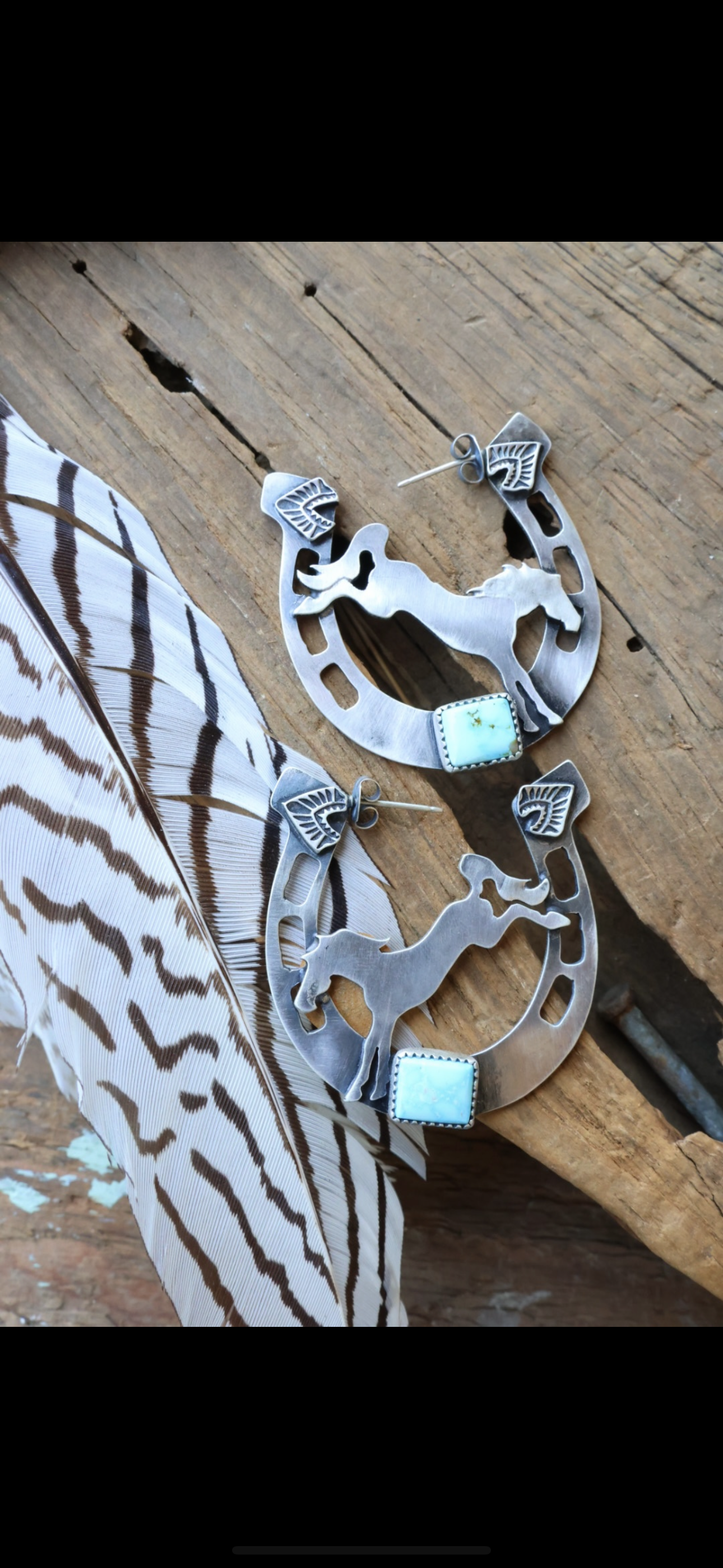 Horse shoe bucking bronco hoops