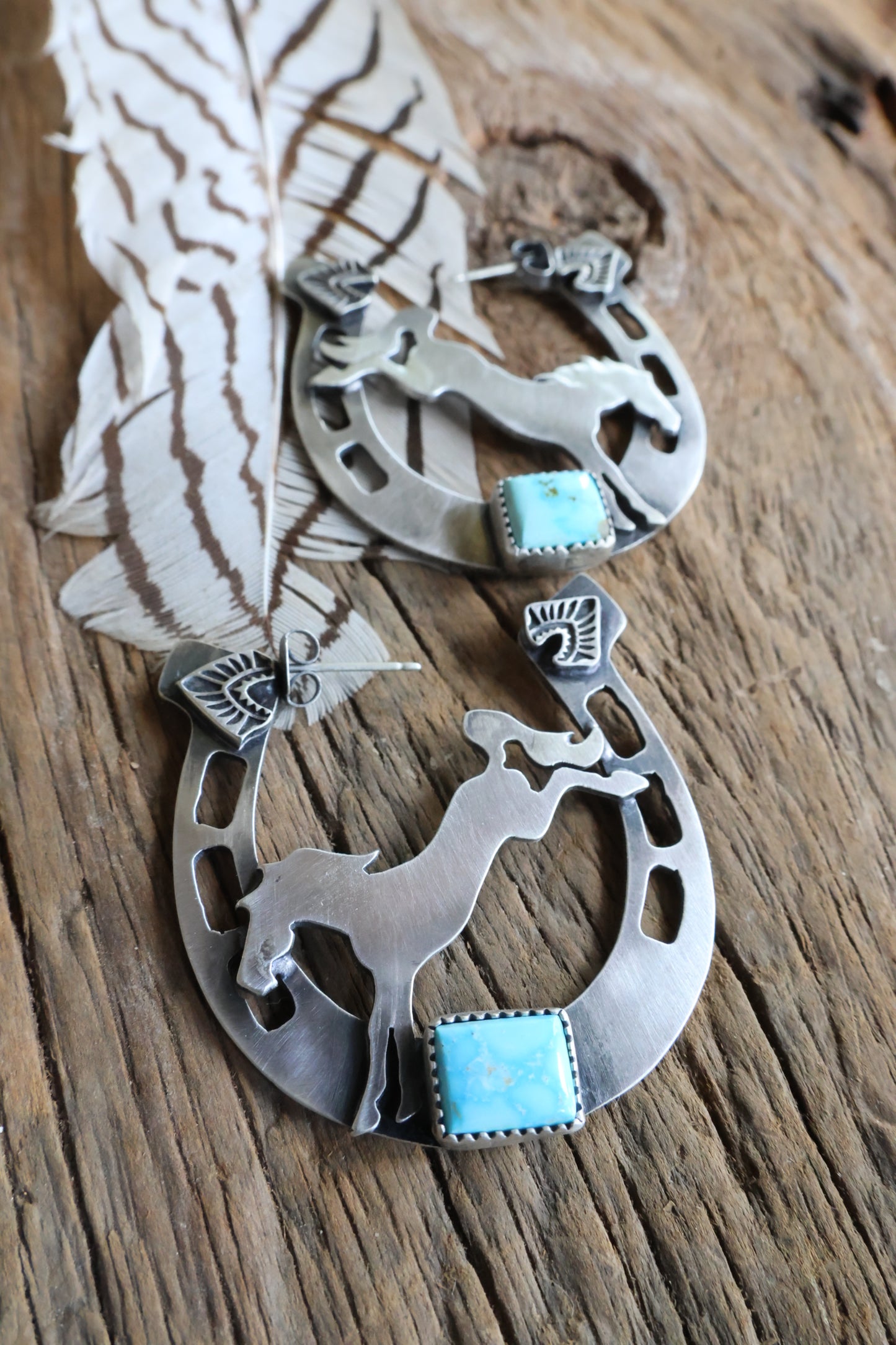 Horse shoe bucking bronco hoops